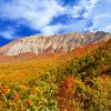大山（鳥取）の紅葉の時期や見ごろ、おすすめスポットの紹介