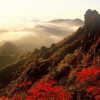 石鎚山の紅葉の時期や見ごろ、登山ルートのまとめ