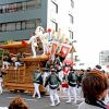 岸和田だんじり祭りの起源や２０１７年の日程、見どころ解説