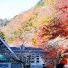 高尾山の紅葉の時期や紅葉まつり、おすすめのコースは一号路！